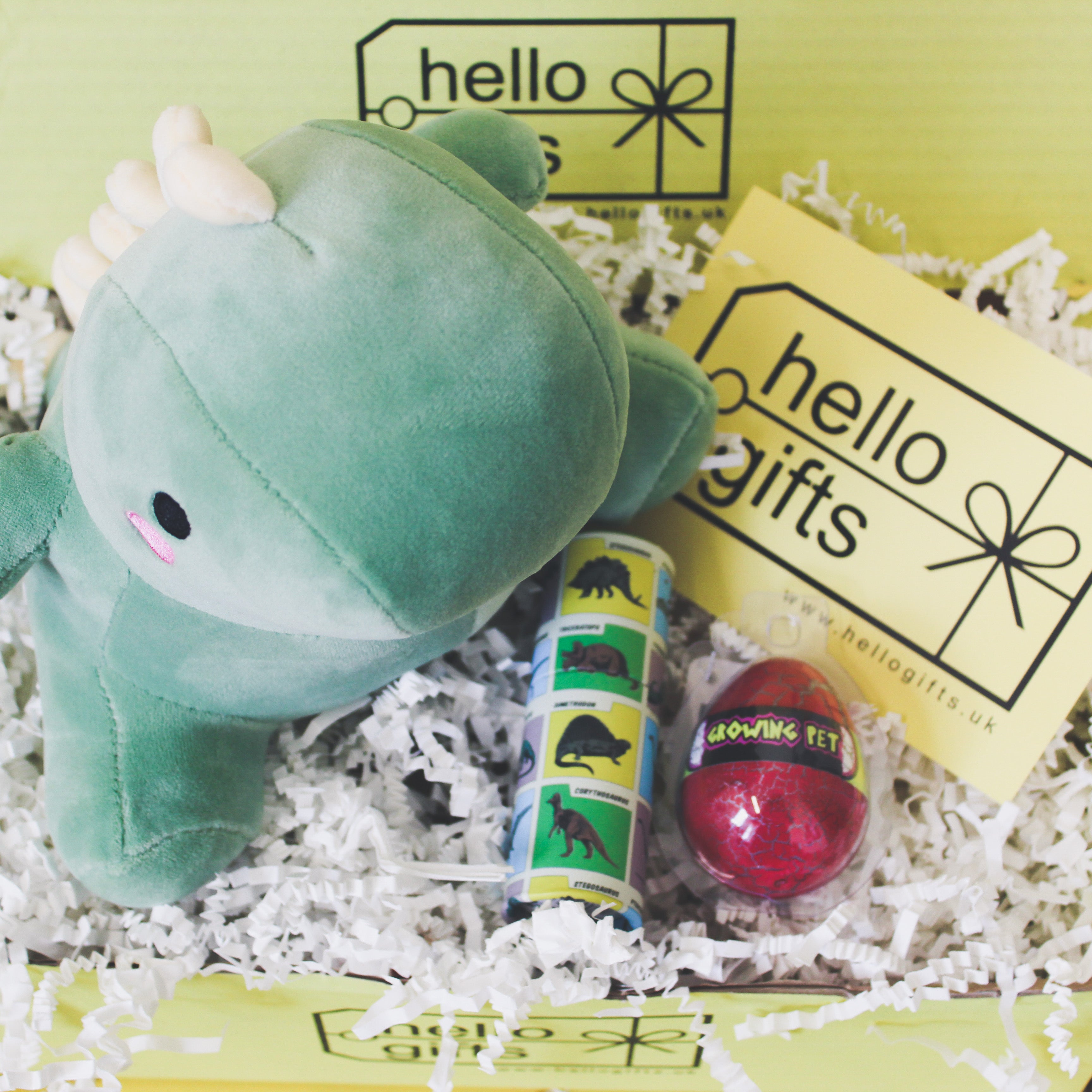 The Dinosaur Box