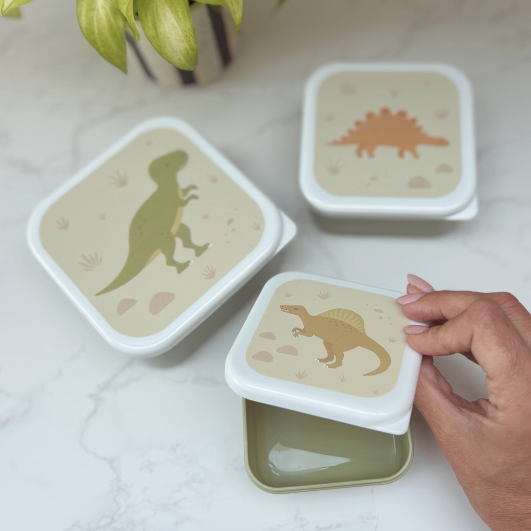 Dinosaur Gift Box For Kids – Lunch And Learn Set – Ideal For School ROARSOME!