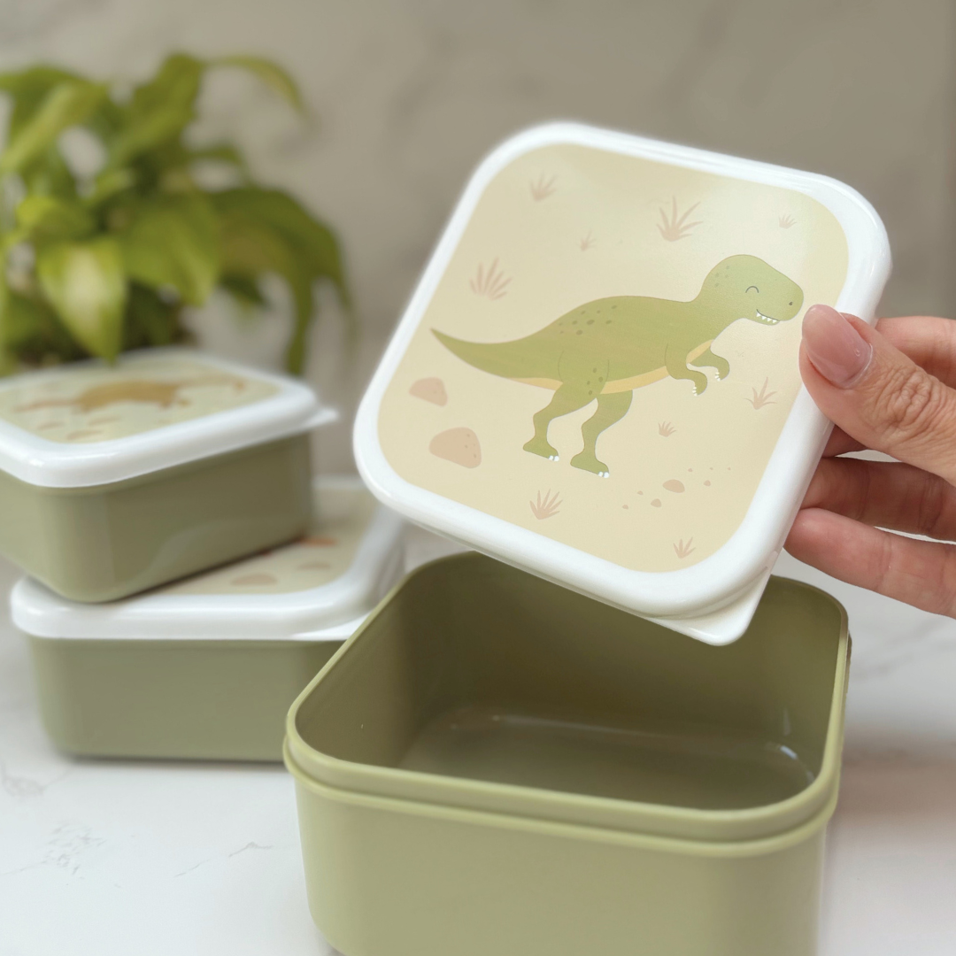 Dinosaur Gift Box For Kids – Lunch And Learn Set – Ideal For School ROARSOME!