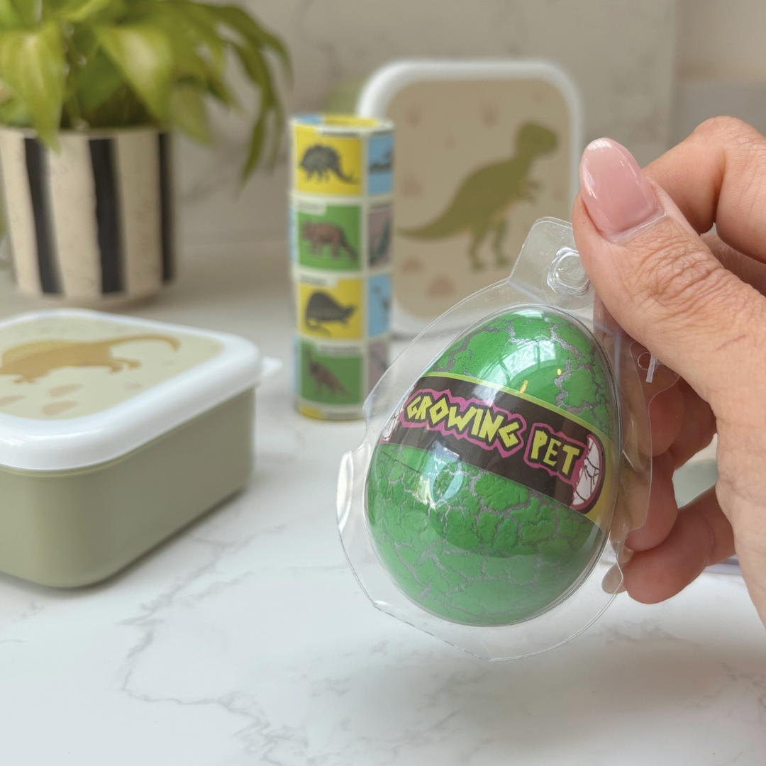 Dinosaur Gift Box For Kids – Lunch And Learn Set – Ideal For School ROARSOME!