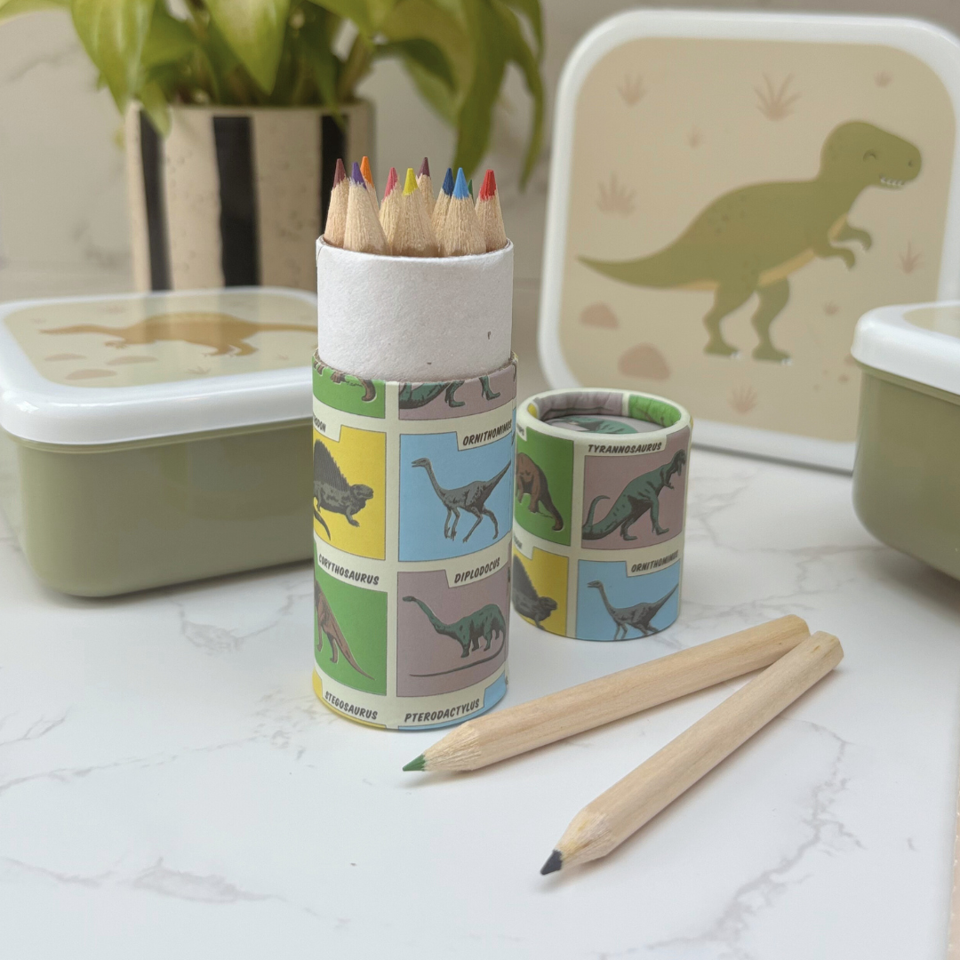 Dinosaur Gift Box For Kids – Lunch And Learn Set – Ideal For School ROARSOME!