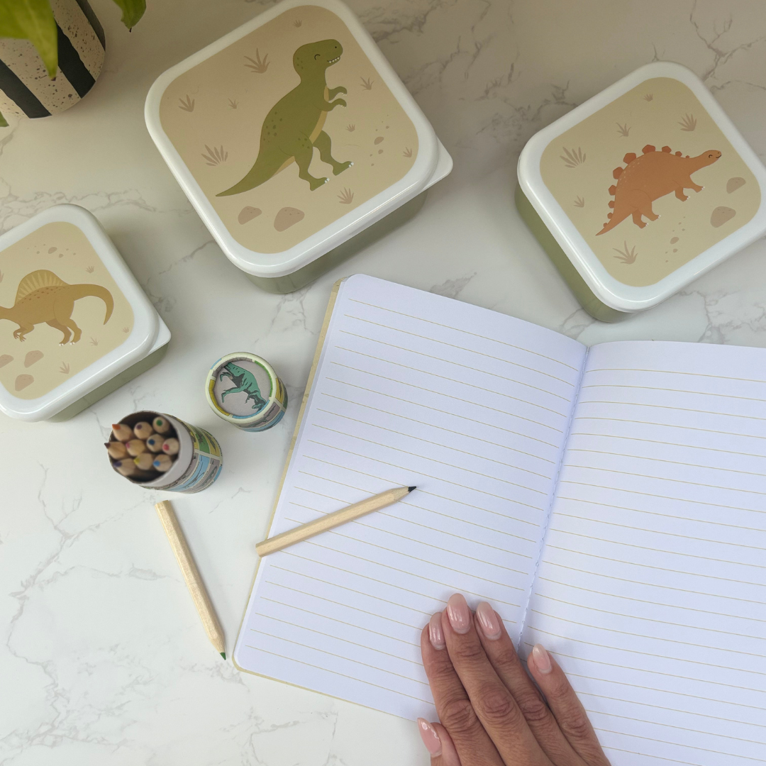 Dinosaur Gift Box For Kids – Lunch And Learn Set – Ideal For School ROARSOME!