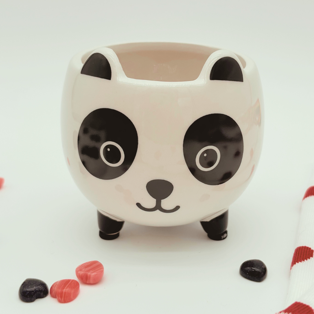 Pretty Panda Accessories Gift Set – Fun & Cute Gifts for Teens & Tweens