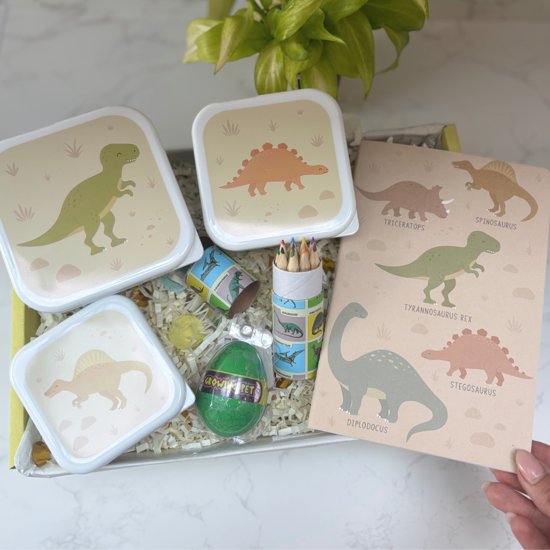 Dinosaur Gift Box For Kids – Lunch And Learn Set – Ideal For School ROARSOME!
