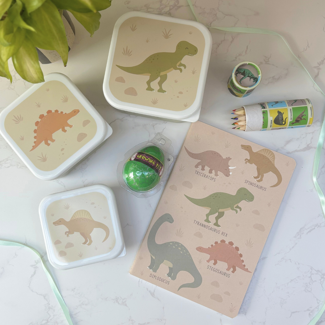 Dinosaur Gift Box For Kids – Lunch And Learn Set – Ideal For School ROARSOME!