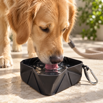 A golden retriever dog drinking from a black geometric collapsible water bowl with a carabiner clip, set on a stone patio outdoors.