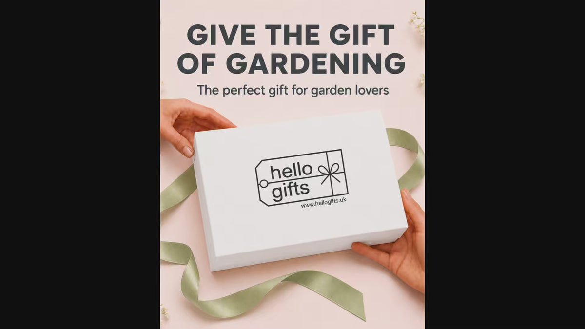 Video of products in gift box
